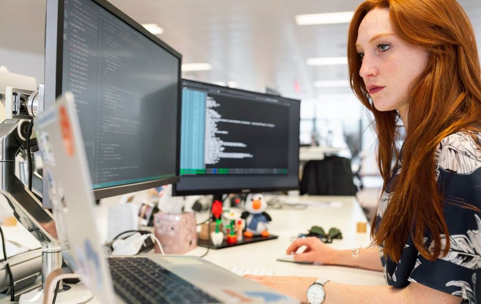 Meet the Monsters